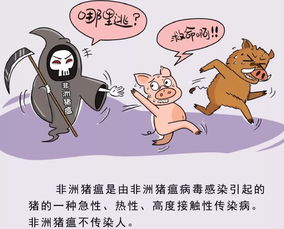 海南啟動非洲豬瘟防控應急響應機制，保障畜禽市場平穩，同步強化水產養殖安全管理